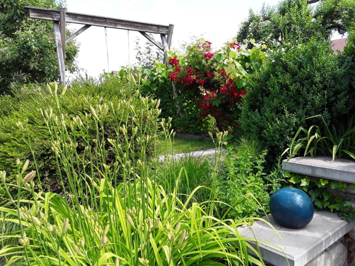 Anna'S Home - Ferienwohnungen Ratsch an der Weinstraße Exterior foto