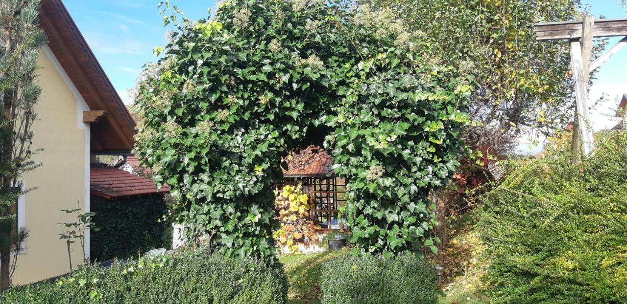 Anna'S Home - Ferienwohnungen Ratsch an der Weinstraße Exterior foto